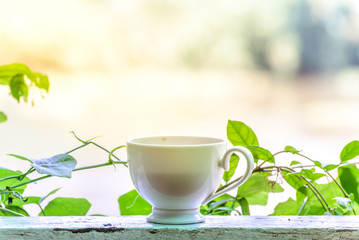 Coffee cup on wooden bar in morning.