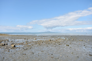 Fototapeta na wymiar Browns Bay at low tide on a sunny spring day.