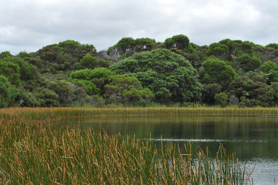 Lake Kaiiwi on a cloudy day.