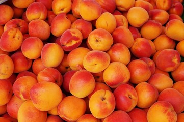 Ripe apricots in bulk at a farmers market