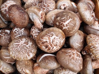 Shiitake mushroom in bulk at a farmers market 