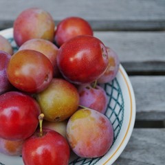 Bowl of round sugar plums freshly picked from the tree