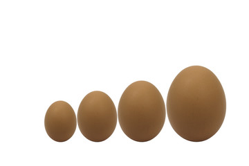 Order eggs from small to big isolated on white background. Graph eggs.