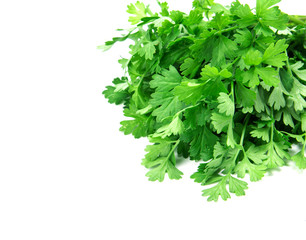 Fresh Green parsley on  white background