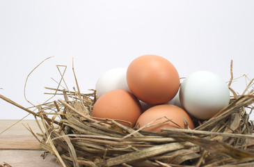 still life eggs. Eggs, three eggs in the nest of dry grass. Old wooden floors.