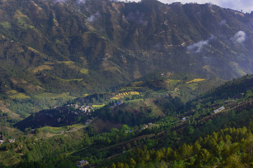 Fototapeta na wymiar view of rice field in village, Nepal