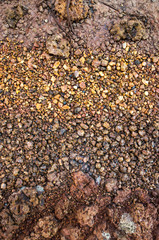 Dry soil surface cracks