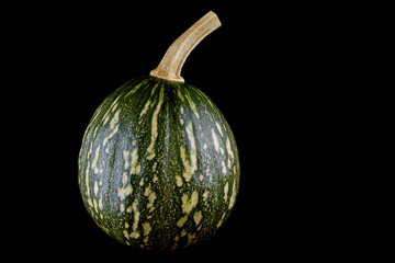Pumpkin from Borneo