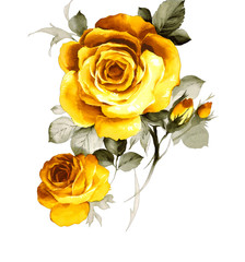 황금색 장미와 꽃봉오리의 어울림