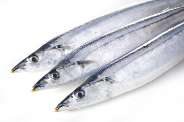 生さんま　Pacific saury