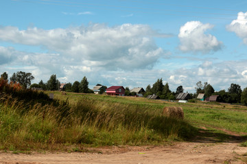 Obraz premium rural landscape field forest