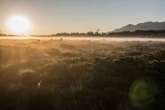 Sonnenaufgang im Filz