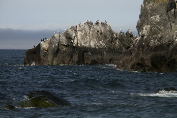 Russia, Magadan region, Coney peninsula, The Sea of Okhotsk, Cape Taran