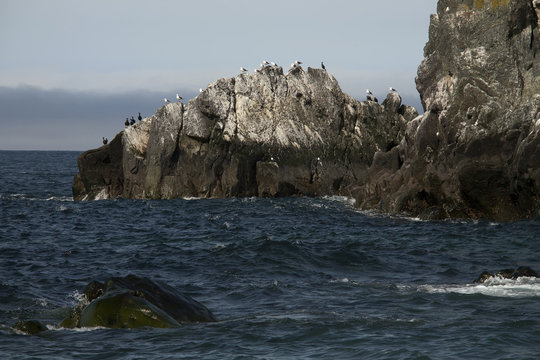 Russia, Magadan region, Coney peninsula, The Sea of Okhotsk, Cape Taran