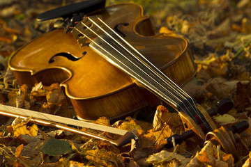 Violin lying on the fallen leaves