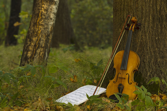 Violin in autumn forest