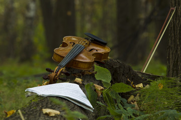 Violin in autumn forest