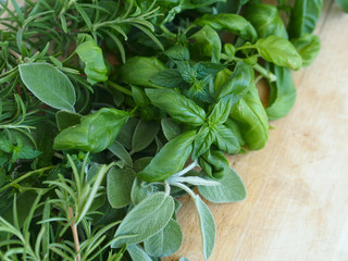 Fresh green rosemary, sage, basil and mint sprouts with leaves on a table cloth