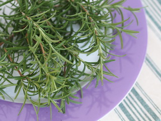 Fresh rosemary branch