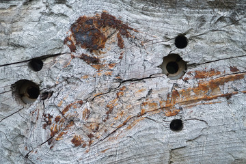 old wood background