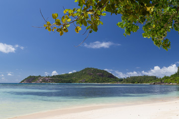 beach on the Indian Ocean