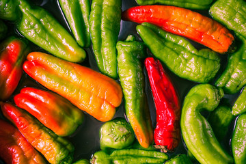 Peperoni verdi, arancioni e rossi