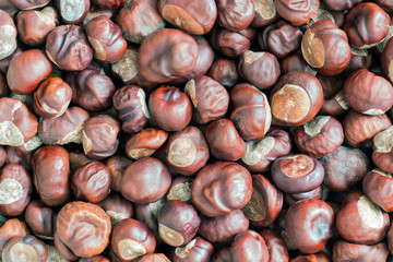 Chestnuts