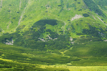 Green mountain background