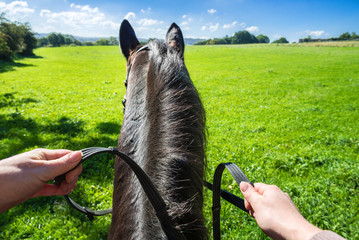 POV Reiter auf Pferd auf einer saftig grünen Wiese