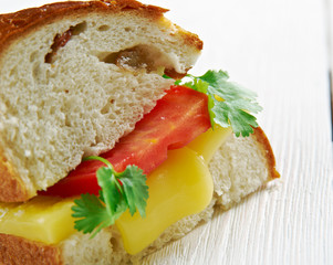 Cheese and tomato sandwich