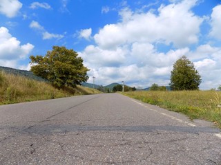 Asphalt road, trees and sky