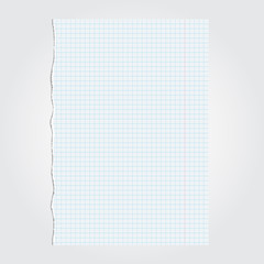 Lacerated piece of paper from notebook. Vector illustration