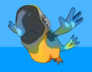 Fun parrot