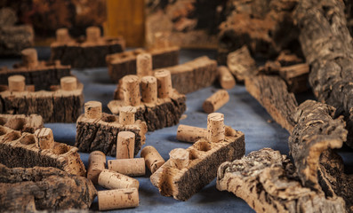 Cork wood and cork for wine