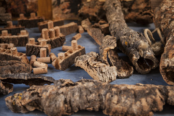 Cork wood and cork for wine