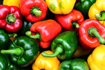 Colorful sweet bell peppers - obrazy, fototapety, plakaty