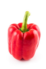 Red Sweet Pepper