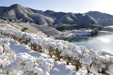 雪景色の宮ヶ瀬湖畔と山並