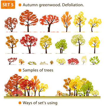 Autumn greenwood. Defoliation. Set 5. (Autumn deciduous forest.)