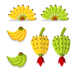 bunch of bananas with yellow and green
