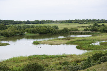 Fototapeta premium Le Parc de Marquenterre