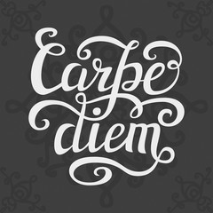 Hand lettering typography poster 'Carpe diem'