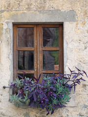 Fototapeta na wymiar Wooden window with flowers, including succulents.