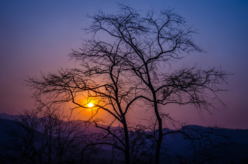 Fototapeta premium The sunset over the mountains, with trees silhouetted against the sky