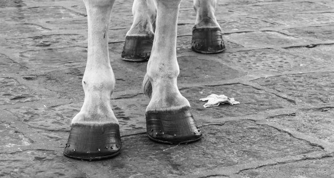 le tue scarpe