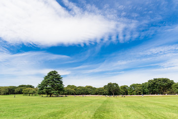 昭和記念公園　みんなの原っぱ