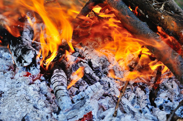 Very hot campfire close-up