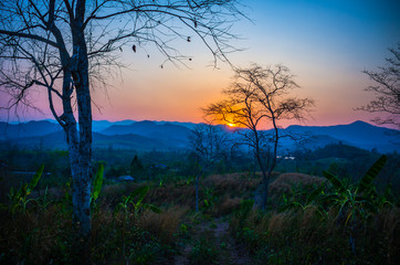 Fototapeta premium Beautiful evening at the lake in Thailand