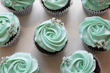 Homemade chocolate cupcake with turquoise rose frosting