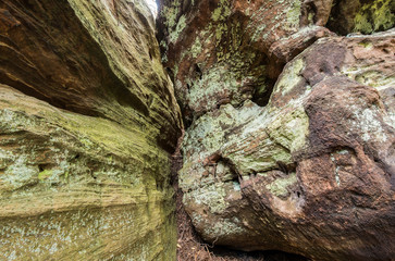 Flechten und Moos auf Felsen bilden ein Muster